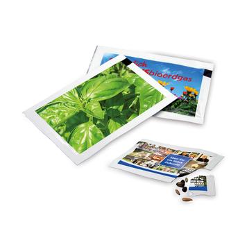 Seed Envelope with Promotional Print