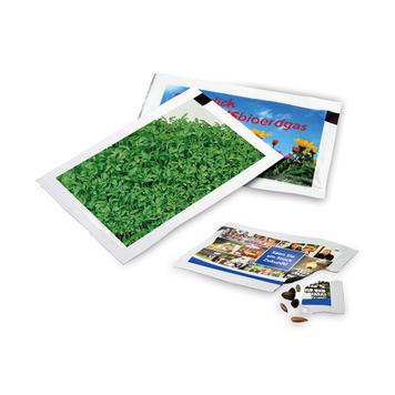 Seed Envelope with Promotional Print