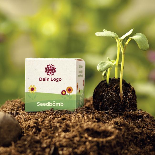 Seed Bomb in Packaging Cube