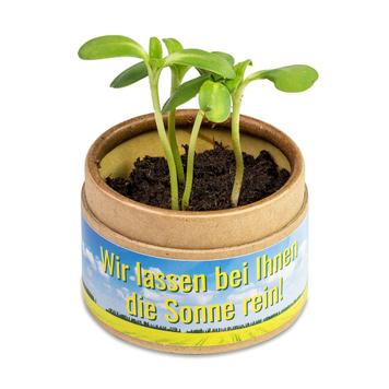 Planting Cup "Cup-U-Seed-O" with Seeds